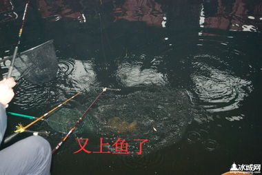 漁具流轉(zhuǎn)新篇章 首屆二手漁具買賣置換交易大會(huì)圓滿落幕
